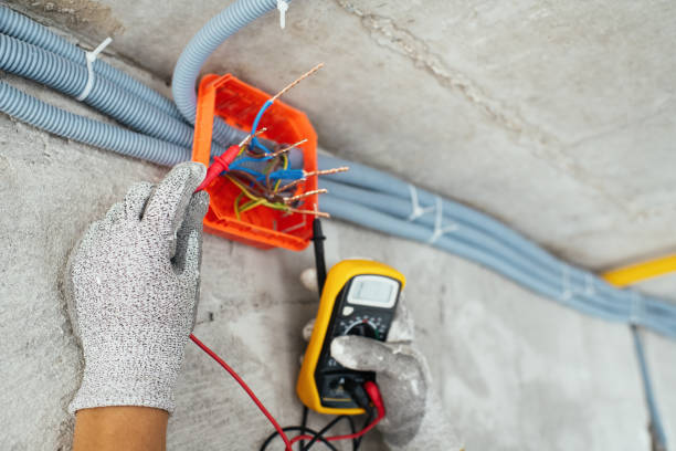 Best Electric Panel Repair  in Mishawaka, IN